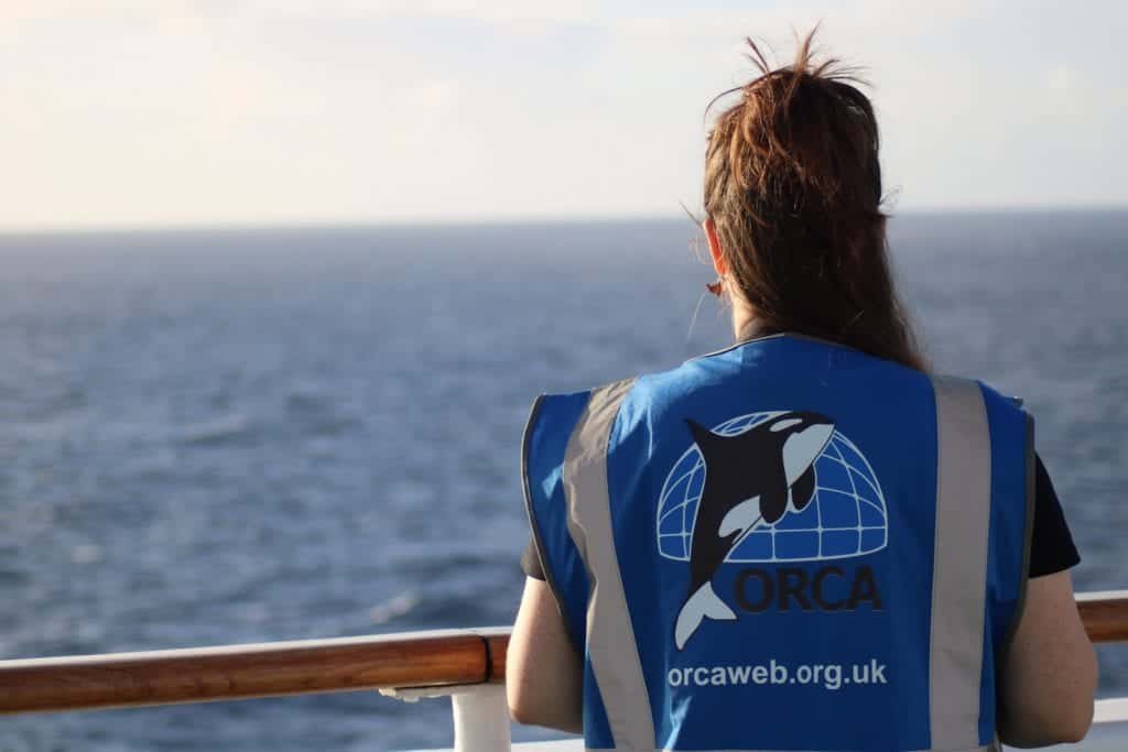 Fred. Olsen Cruise Lines join up with Marine wildlife charity ORCA for sailings from Liverpool this summer