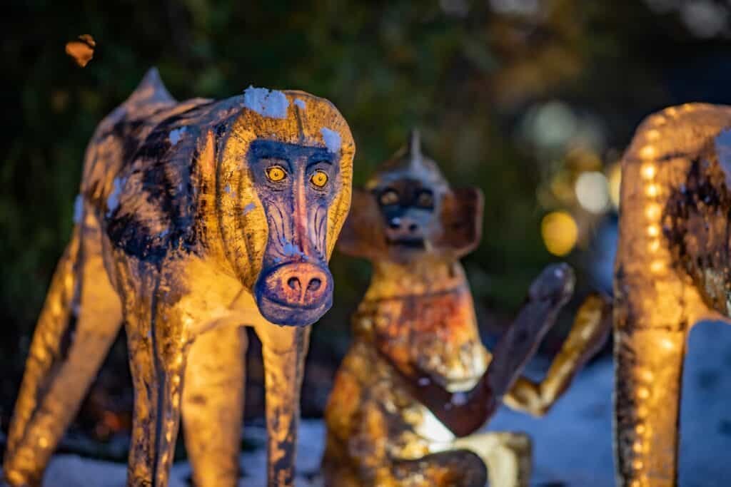 Chester Zoo welcomes back Magical Christmas event ‘The Lanterns’