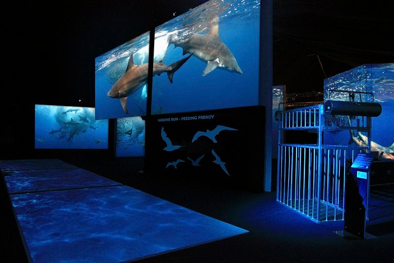 Chester Zoo reveals UK’s first ‘out of water’ shark experience